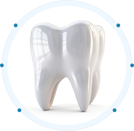 main teeth